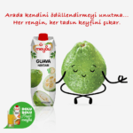 meysu guava005 2
