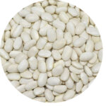 BASHAN40dermason-fasulye2
