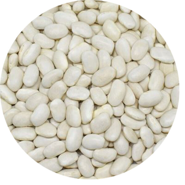 BASHAN40dermason-fasulye